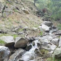 Madera Canyon - Green Valley