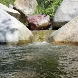 Madera Canyon - Green Valley