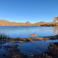 Patagonia Lake State Park - Green Valley