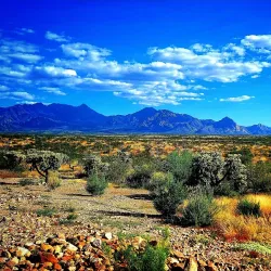 Santa Rita Mountains - Green Valley