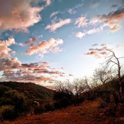 Santa Rita Mountains - Green Valley