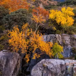 Santa Rita Mountains - Green Valley