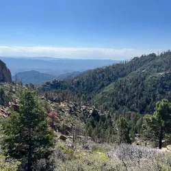 Hualapai Mountain Park - Kingman