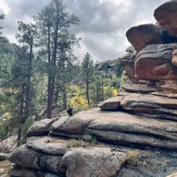 Hualapai Mountain Park - Kingman