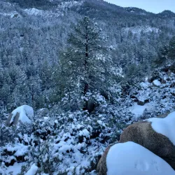 Hualapai Mountain Park - Kingman