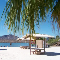 Cattail Cove State Park - Lake Havasu City