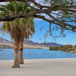 Cattail Cove State Park - Lake Havasu City