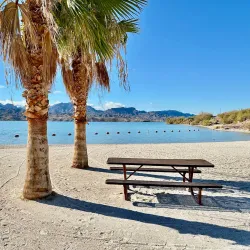 Cattail Cove State Park - Lake Havasu City