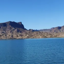 Cattail Cove State Park - Lake Havasu City