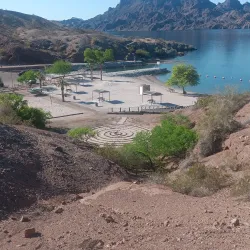 Cattail Cove State Park - Lake Havasu City