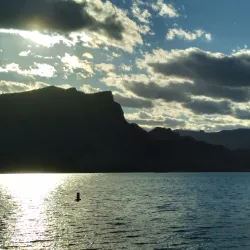 Cattail Cove State Park - Lake Havasu City