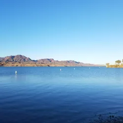 Cattail Cove State Park - Lake Havasu City