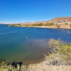 Cattail Cove State Park - Lake Havasu City