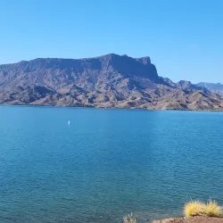 Cattail Cove State Park - Lake Havasu City