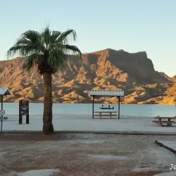 Cattail Cove State Park - Lake Havasu City