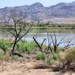 Havasu National Wildlife Refuge - Lake Havasu City