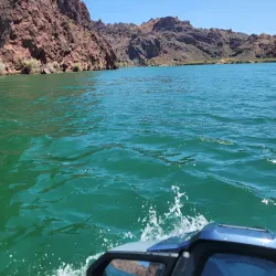 Havasu National Wildlife Refuge - Lake Havasu City