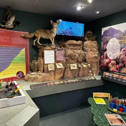 Lake Havasu Museum of History - Lake Havasu City