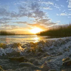 Lake Havasu State Park - Lake Havasu City