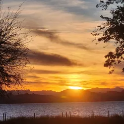 Lake Havasu State Park - Lake Havasu City