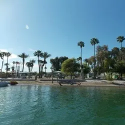 Lake Havasu State Park - Lake Havasu City