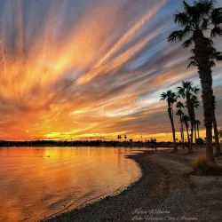 Rotary Community Park - Lake Havasu City
