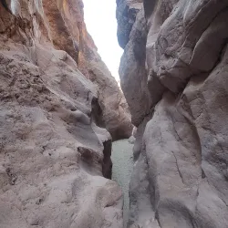 Sara Park - Lake Havasu City