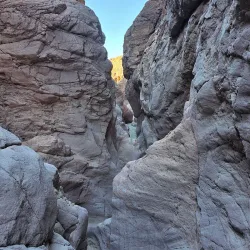 Sara Park - Lake Havasu City