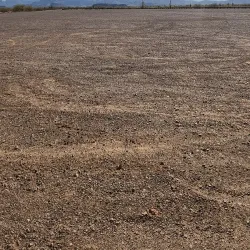 Desert Wells Regional Park - Maricopa