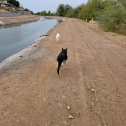 Maricopa Trail - Maricopa