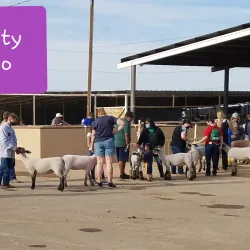 Pinal County Fairgrounds - Maricopa