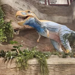 Arizona Museum of Natural History - Mesa