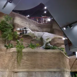 Arizona Museum of Natural History - Mesa