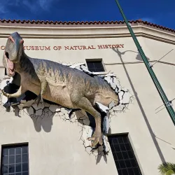 Arizona Museum of Natural History - Mesa