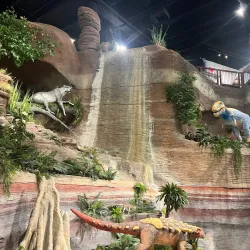 Arizona Museum of Natural History - Mesa