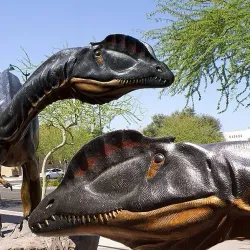 Arizona Museum of Natural History - Mesa