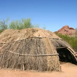 Desert Botanical Garden - Mesa