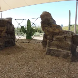 Usery Mountain Regional Park - Mesa