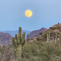 Usery Mountain Regional Park - Mesa