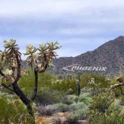 Usery Mountain Regional Park - Mesa