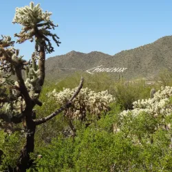 Usery Mountain Regional Park - Mesa