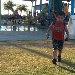 Pioneer Community Park - Peoria