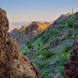 West Wing Mountain Preserve - Peoria