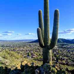 West Wing Mountain Preserve - Peoria