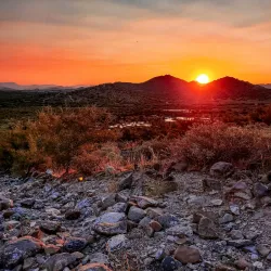 West Wing Mountain Preserve - Peoria