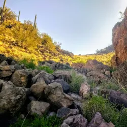 West Wing Mountain Preserve - Peoria