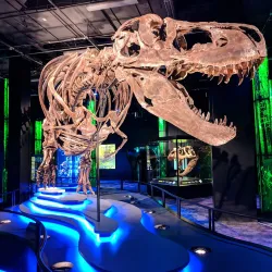 Arizona Science Center - Phoenix