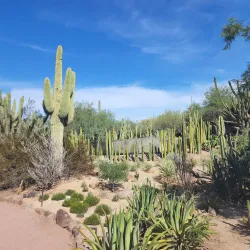 Papago Park - Phoenix