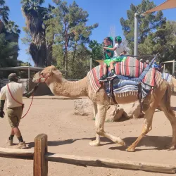 Phoenix Zoo - Phoenix