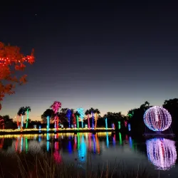 Phoenix Zoo - Phoenix